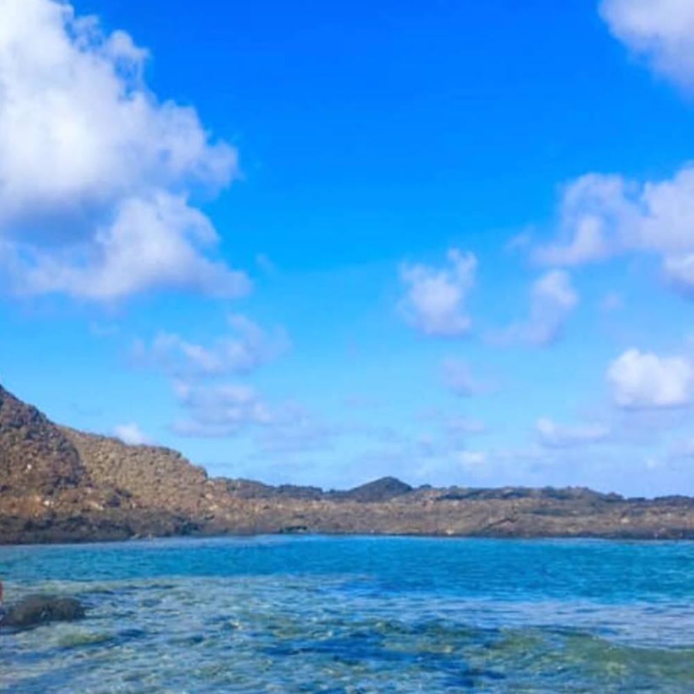 Meet your Posher, Jelai